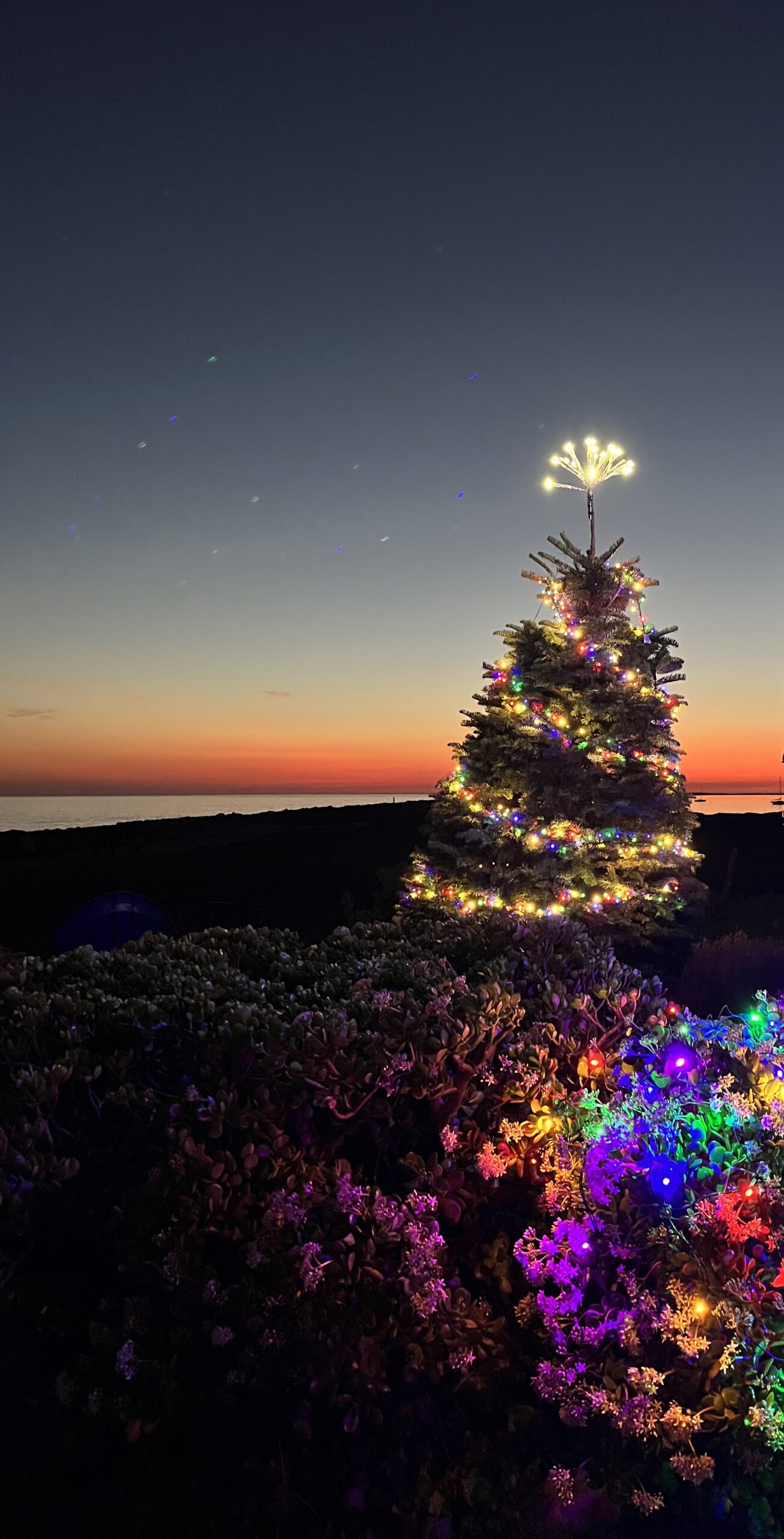 Pillar Point I Pillar Bed And Breakfast I Ocean View