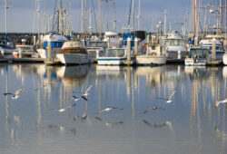 Pillar Point I Pillar Bed And Breakfast I Boats